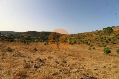 Terreno para Venda em Loule (São Clemente)