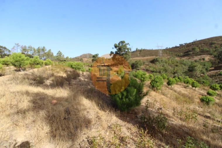 Terreno para Venda em Loule (São Clemente) Foto 10