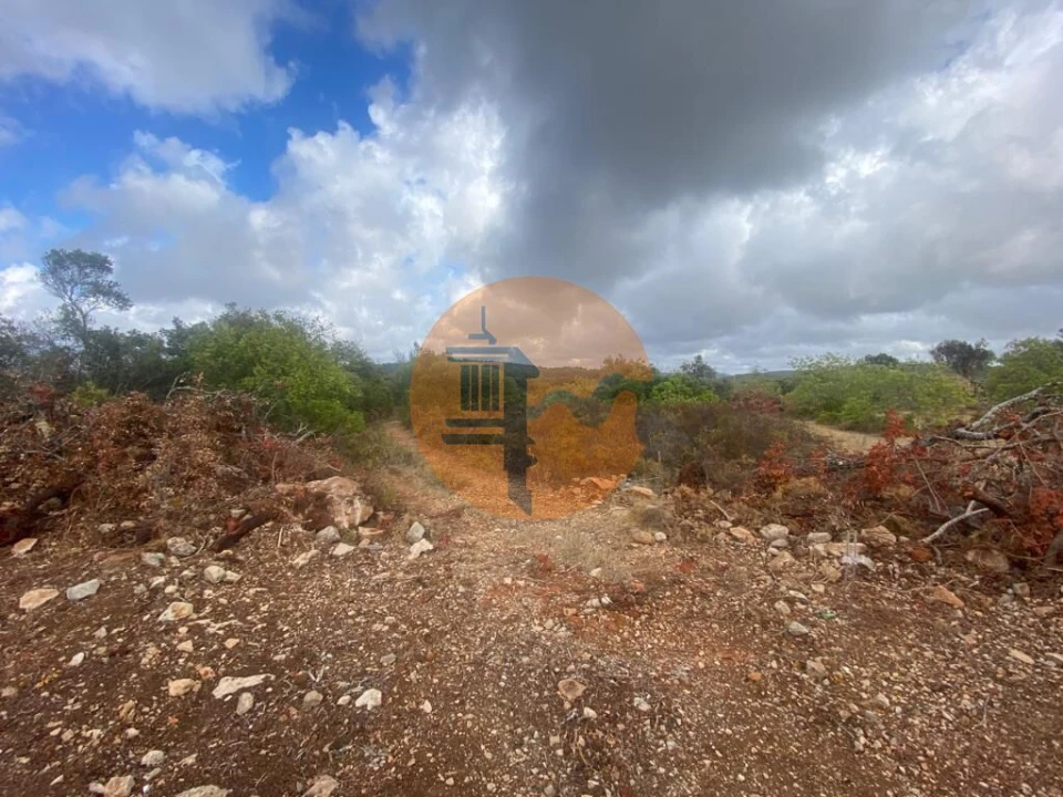 Terreno para Venda em Loule (São Clemente) Foto 4