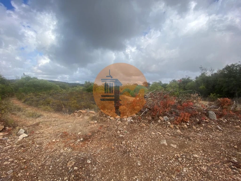 Terreno para Venda em Loule (São Clemente) Foto 5