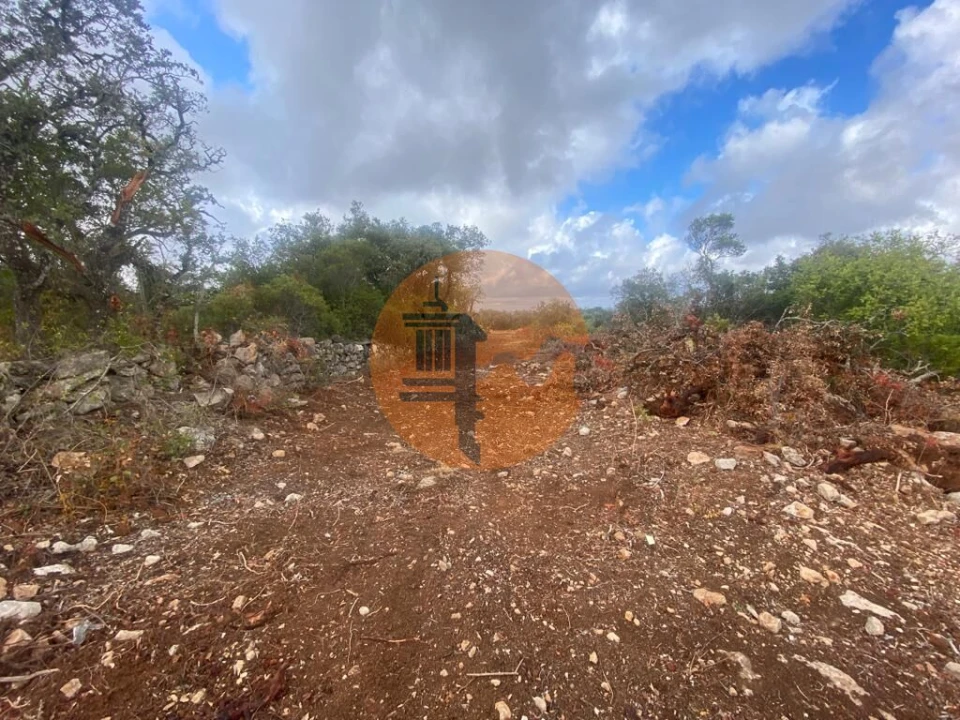 Terreno para Venda em Loule (São Clemente) Foto 6