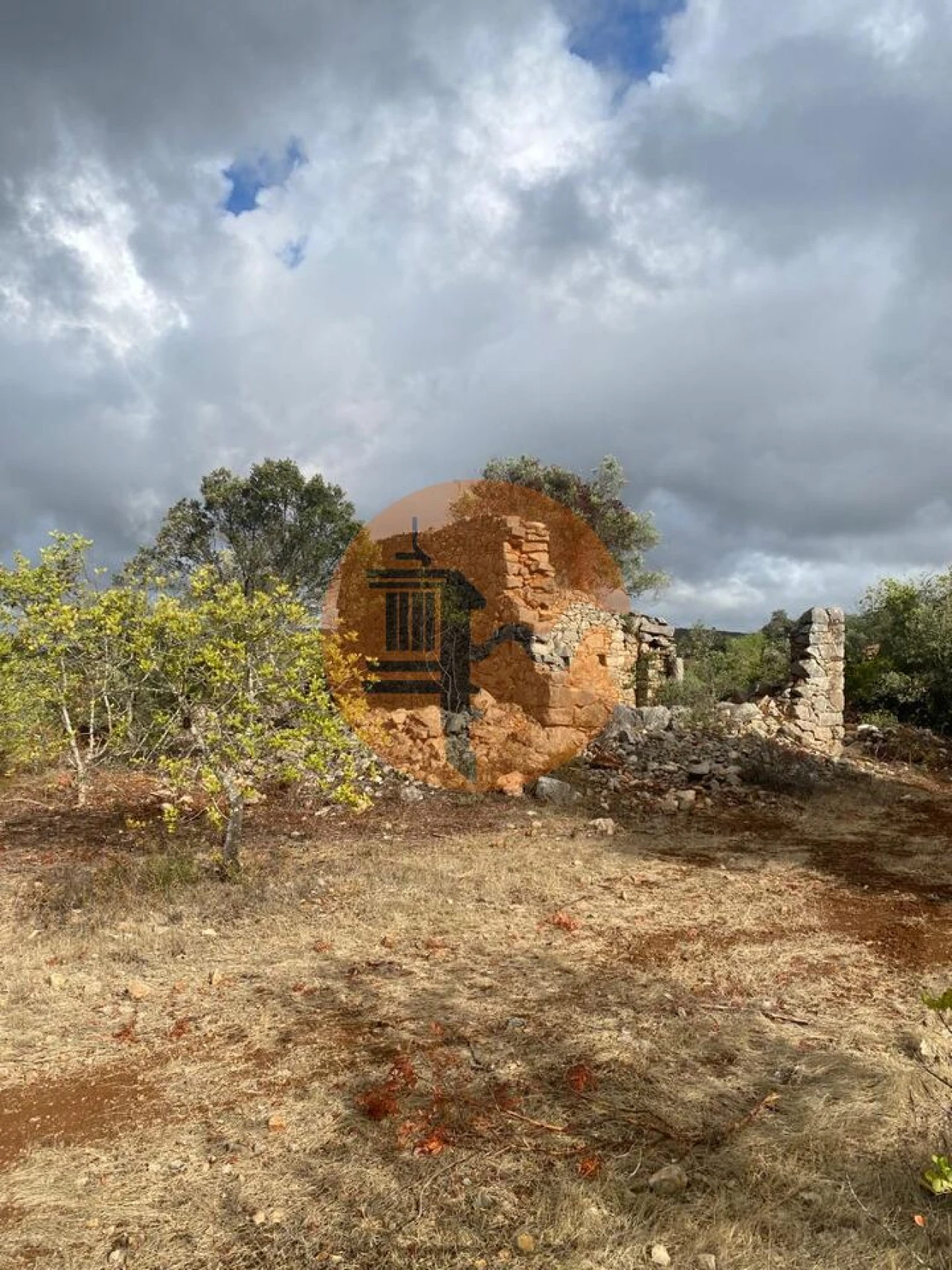 Terreno para Venda em Loule (São Clemente) Foto 8