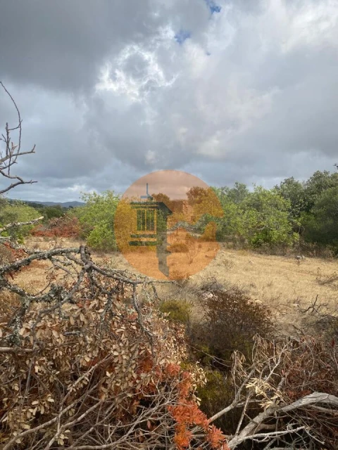Terreno para Venda em Loule (São Clemente)