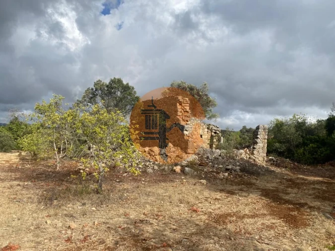 Terreno para Venda em Loule (São Clemente) Foto 2