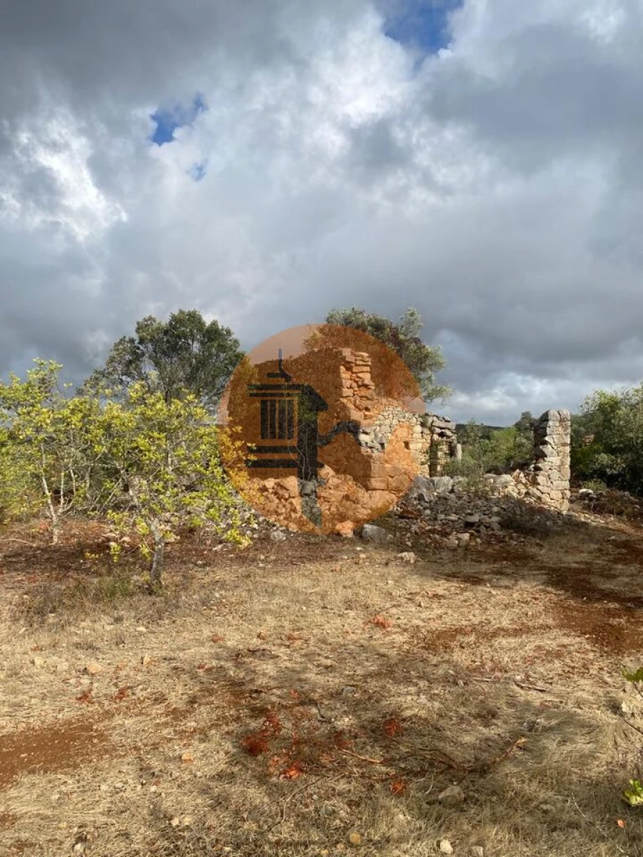 Terreno para Venda em Loule (São Clemente) Foto 8
