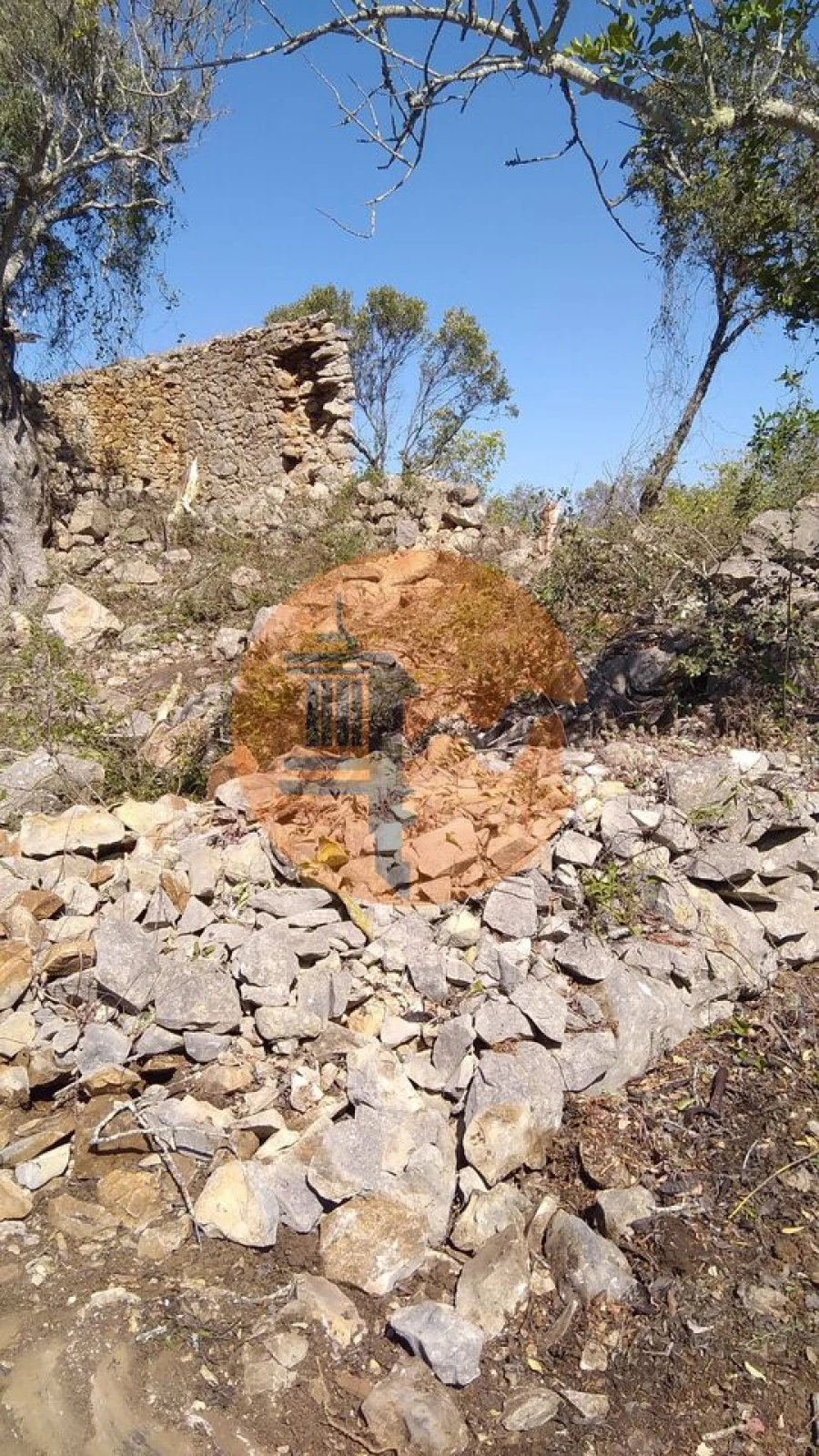 Terreno para Venda em Loule (São Clemente) Foto 10