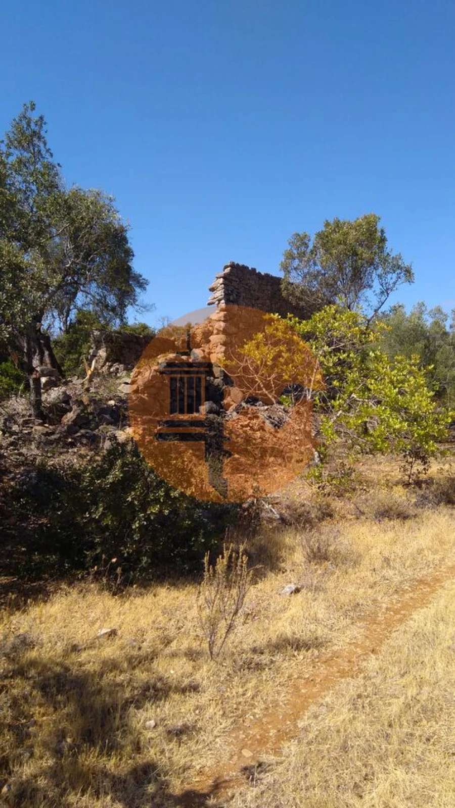 Terreno para Venda em Loule (São Clemente) Foto 11