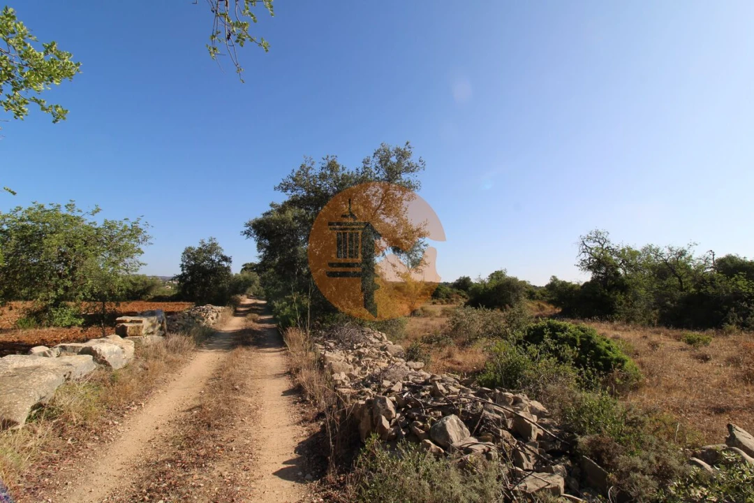 Terreno para Venda em Conceição e Estoi Foto 21