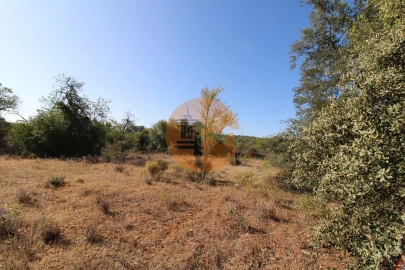 Terreno para Venda em Conceição e Estoi
