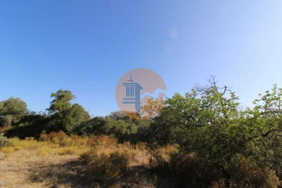 Terreno para Venda em Conceição e Estoi