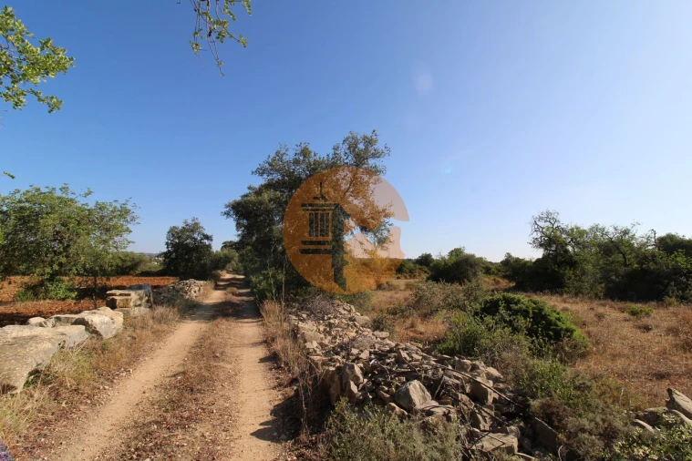 Terreno para Venda em Conceição e Estoi Foto 21