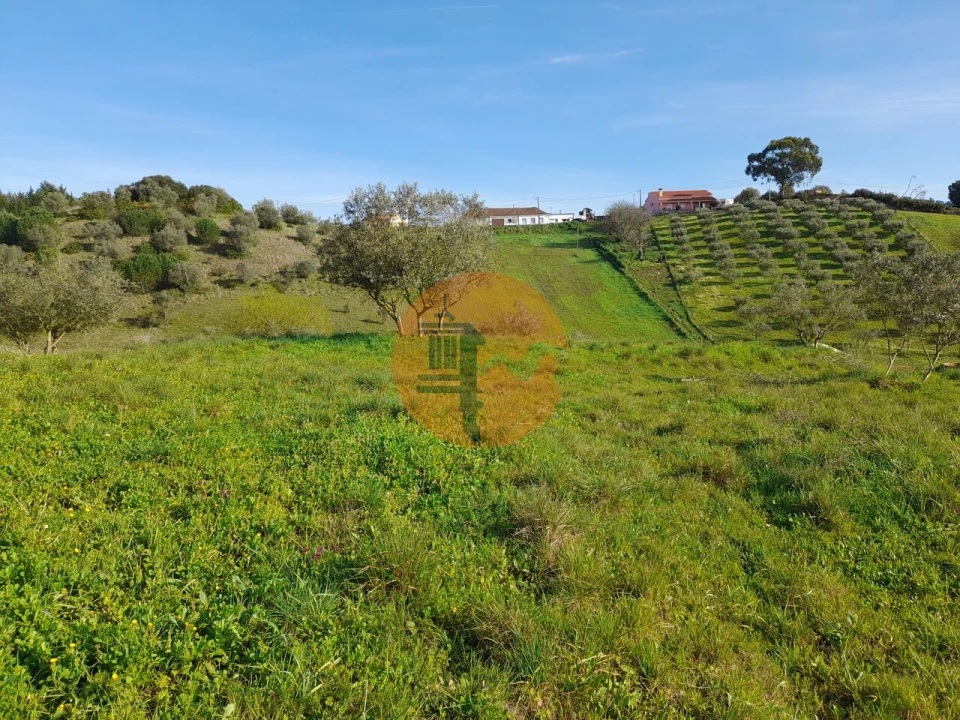 Terreno para Venda em São João da Ribeira e Ribeira de São João Foto 4