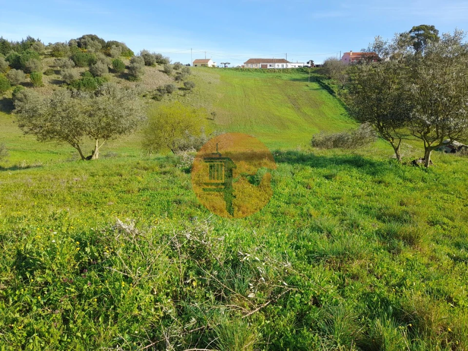 Terreno para Venda em São João da Ribeira e Ribeira de São João Foto 6