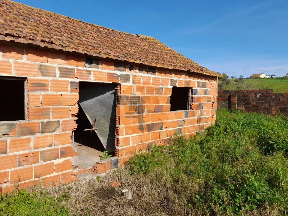 Terreno para Venda em São João da Ribeira e Ribeira de São João Foto 15