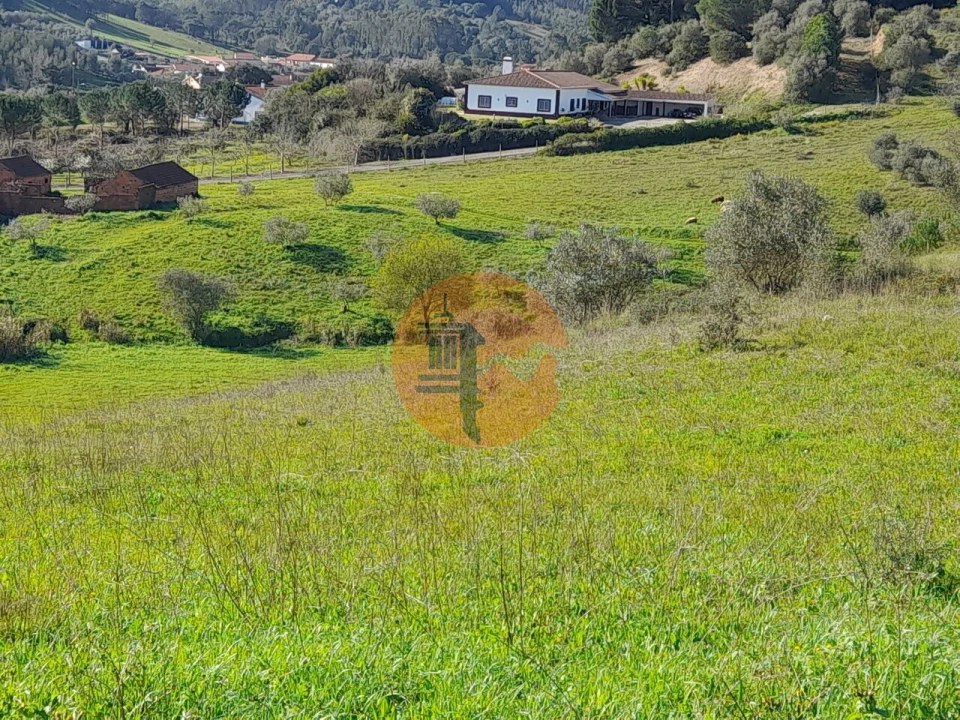 Terreno para Venda em São João da Ribeira e Ribeira de São João Foto 19