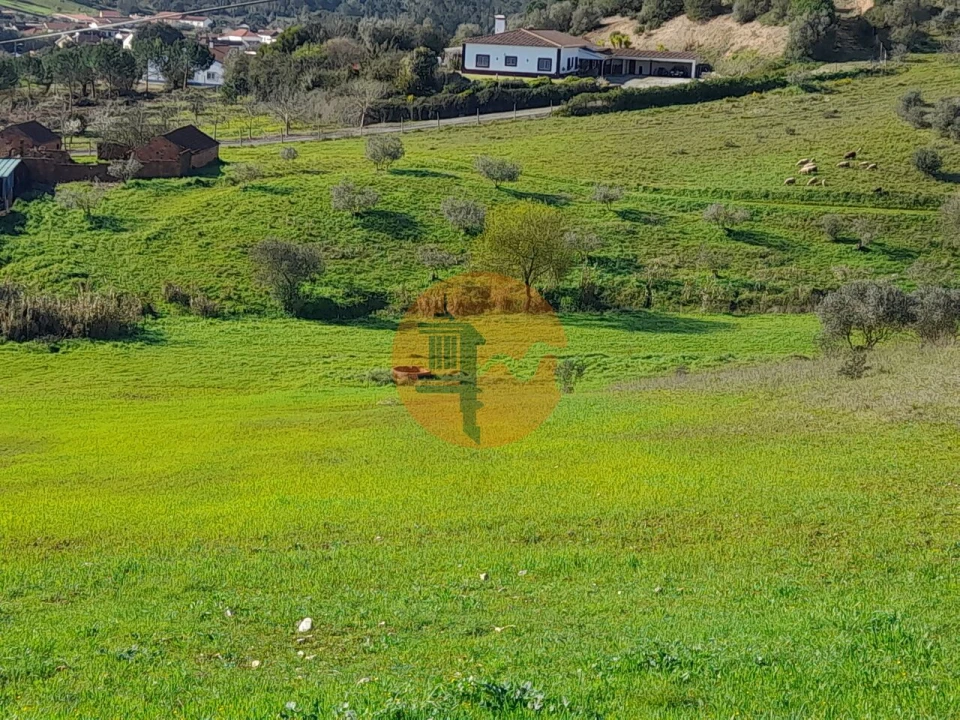 Terreno para Venda em São João da Ribeira e Ribeira de São João Foto 20