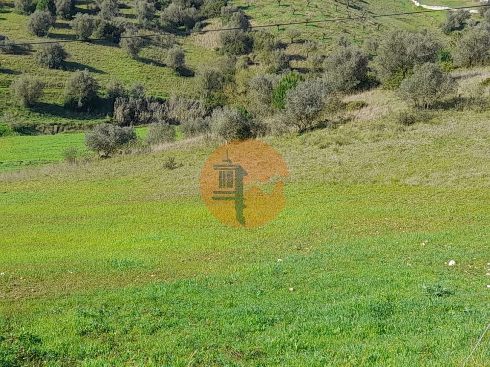 Terreno para Venda em São João da Ribeira e Ribeira de São João Foto 22