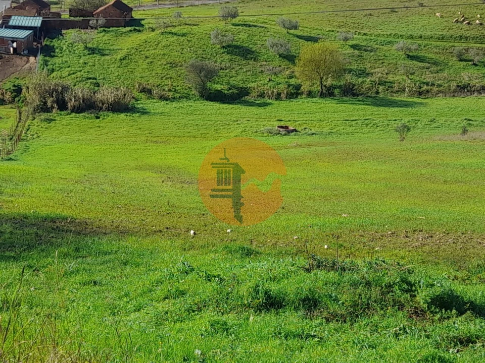 Terreno para Venda em São João da Ribeira e Ribeira de São João Foto 23