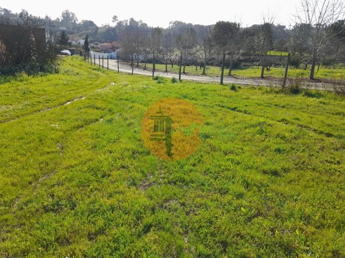 Terreno para Venda em São João da Ribeira e Ribeira de São João Foto 3