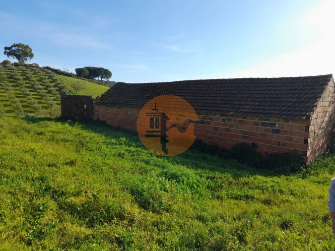 Terreno para Venda em São João da Ribeira e Ribeira de São João Foto 5