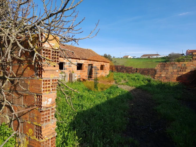 Terreno para Venda em São João da Ribeira e Ribeira de São João Foto 9