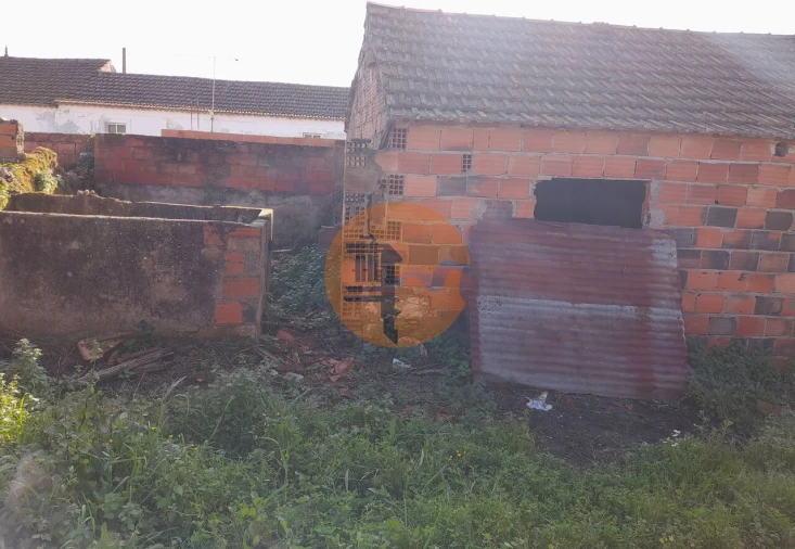 Terreno para Venda em São João da Ribeira e Ribeira de São João Foto 10