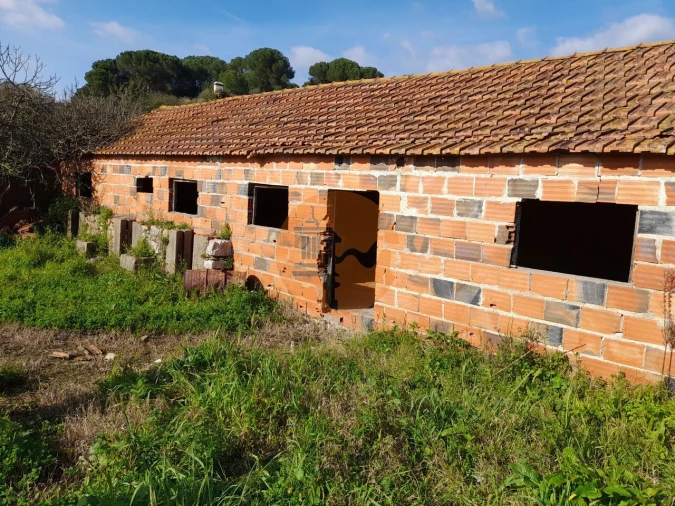 Terreno para Venda em São João da Ribeira e Ribeira de São João Foto 12