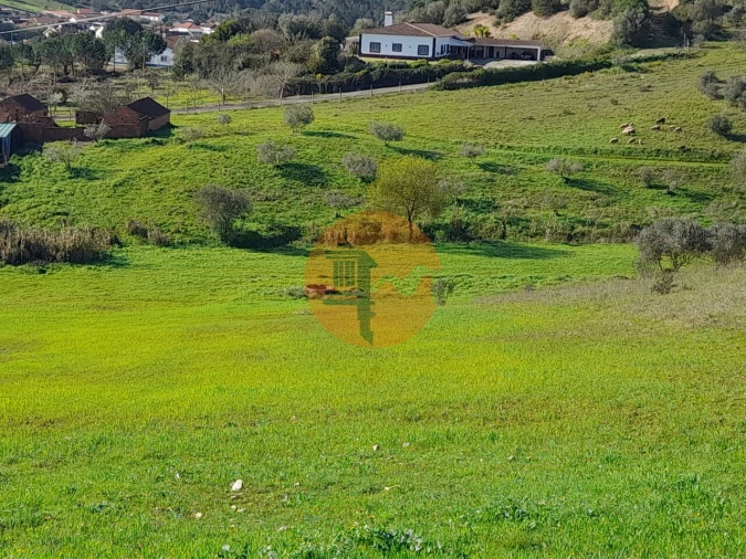 Terreno para Venda em São João da Ribeira e Ribeira de São João Foto 20