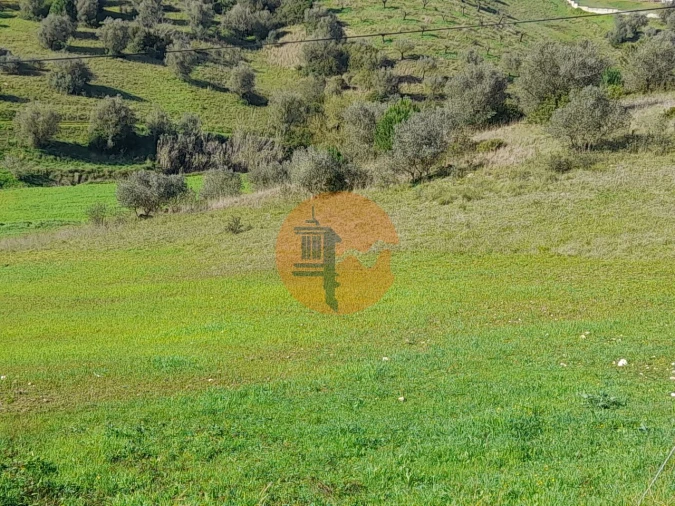 Terreno para Venda em São João da Ribeira e Ribeira de São João Foto 22