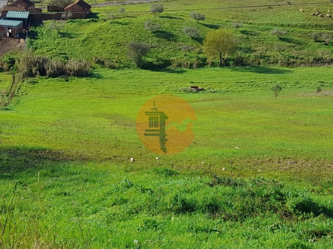 Terreno para Venda em São João da Ribeira e Ribeira de São João Foto 23