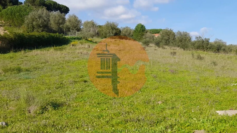 Terreno para Venda em São João da Ribeira e Ribeira de São João
