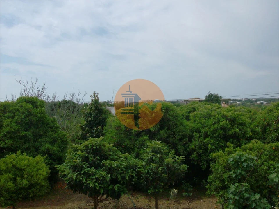 Terreno para Venda em Luz de Tavira e Santo Estêvão Foto 14