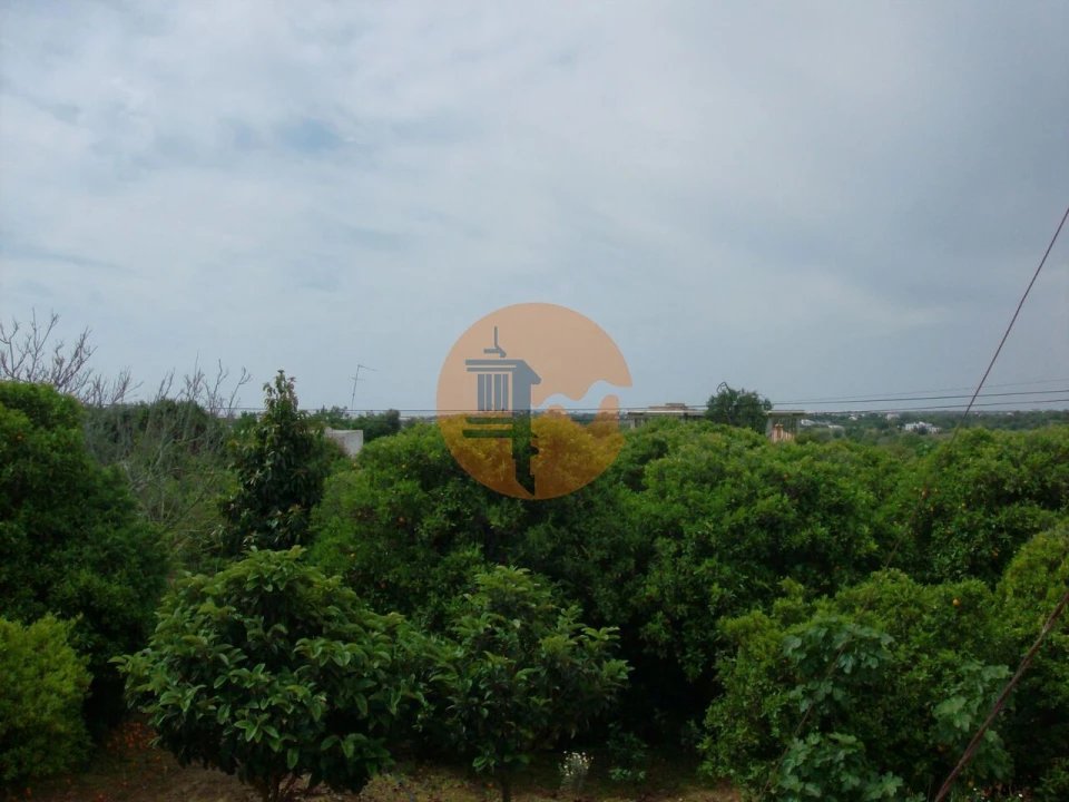 Terreno para Venda em Luz de Tavira e Santo Estêvão Foto 16