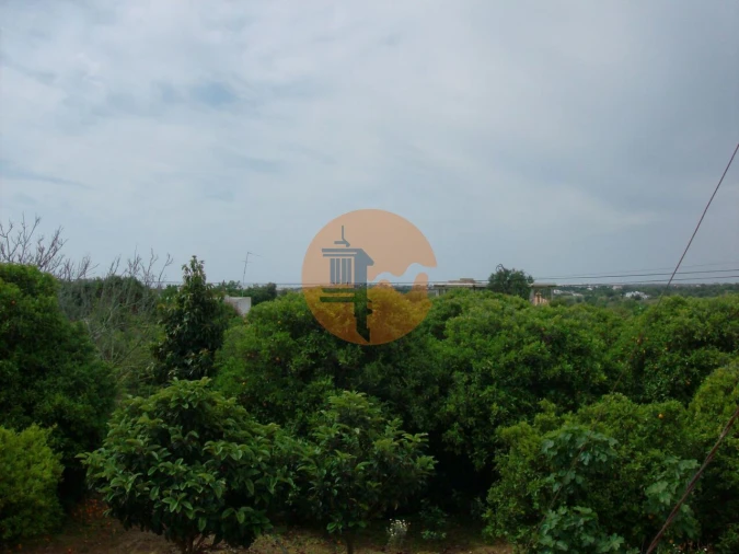 Terreno para Venda em Luz de Tavira e Santo Estêvão Foto 16