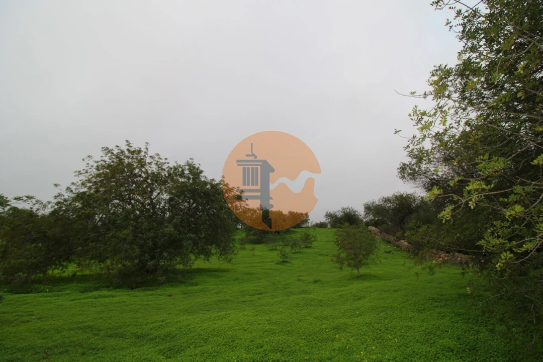 Terreno para Venda em Luz de Tavira e Santo Estêvão Foto 5