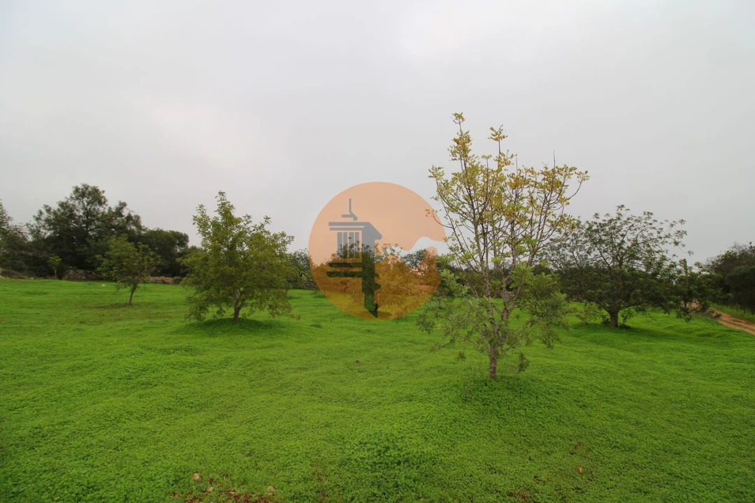 Terreno para Venda em Luz de Tavira e Santo Estêvão Foto 6