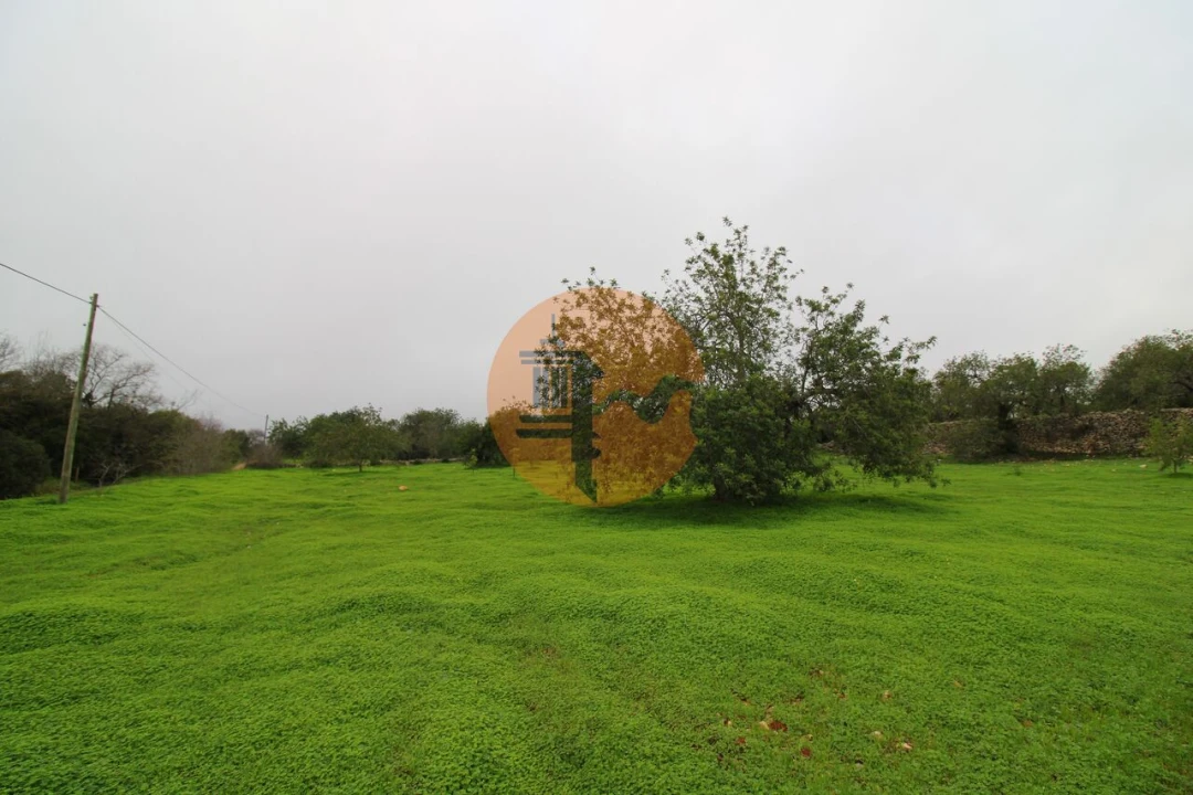 Terreno para Venda em Luz de Tavira e Santo Estêvão Foto 7