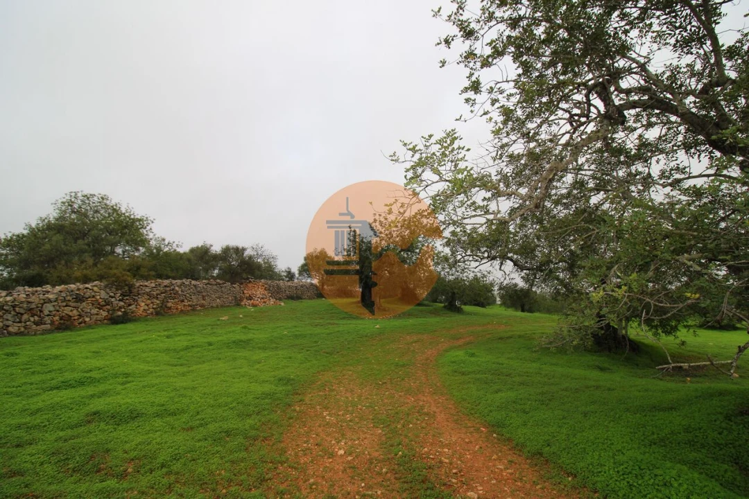 Terreno para Venda em Luz de Tavira e Santo Estêvão Foto 10