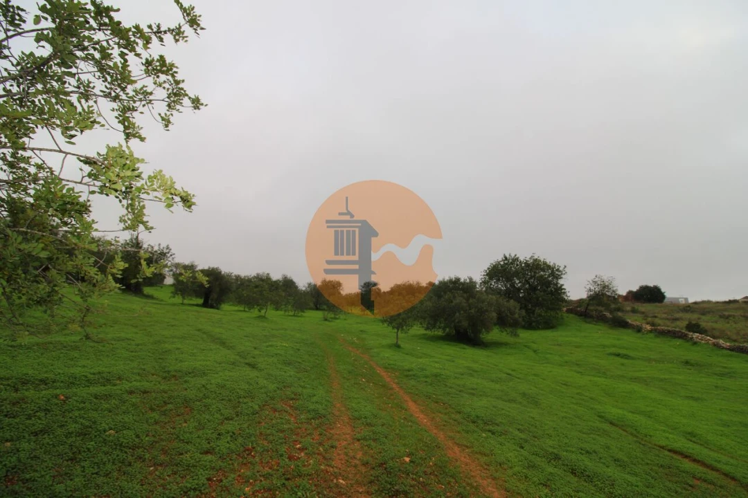 Terreno para Venda em Luz de Tavira e Santo Estêvão Foto 12