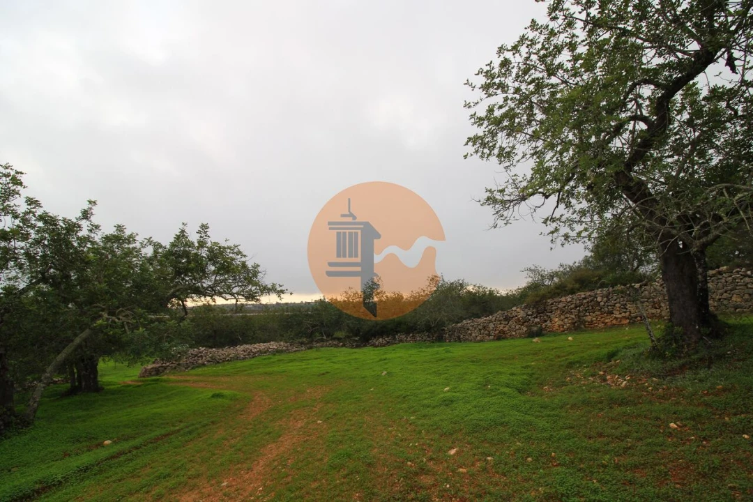 Terreno para Venda em Luz de Tavira e Santo Estêvão Foto 13