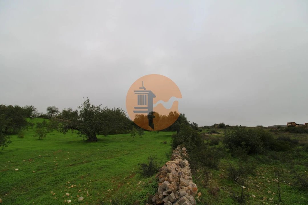 Terreno para Venda em Luz de Tavira e Santo Estêvão Foto 17