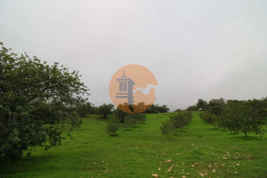 Terreno para Venda em Luz de Tavira e Santo Estêvão Foto 18