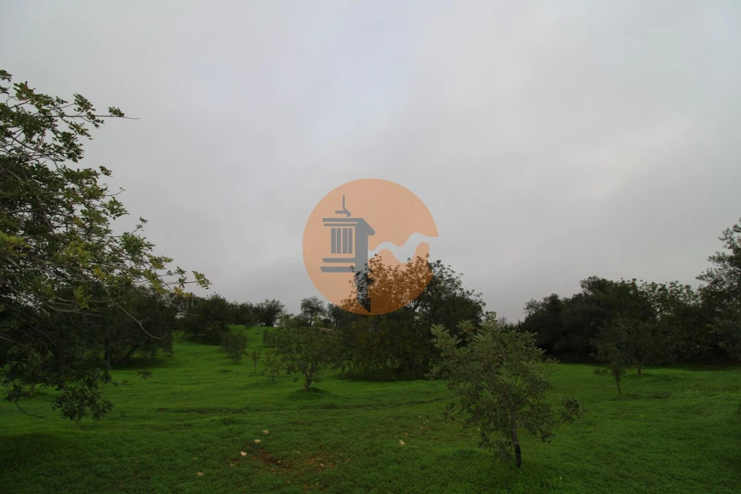 Terreno para Venda em Luz de Tavira e Santo Estêvão Foto 19