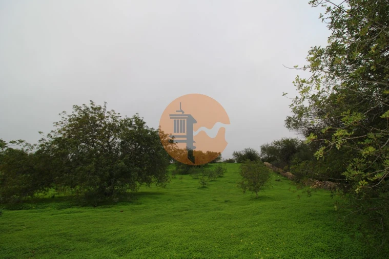 Terreno para Venda em Luz de Tavira e Santo Estêvão Foto 5