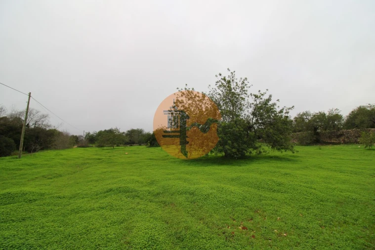 Terreno para Venda em Luz de Tavira e Santo Estêvão Foto 7