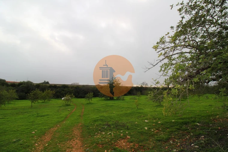 Terreno para Venda em Luz de Tavira e Santo Estêvão Foto 9