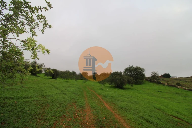 Terreno para Venda em Luz de Tavira e Santo Estêvão Foto 12