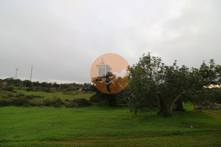 Terreno para Venda em Luz de Tavira e Santo Estêvão Foto 14