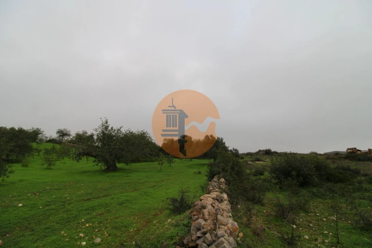 Terreno para Venda em Luz de Tavira e Santo Estêvão Foto 17