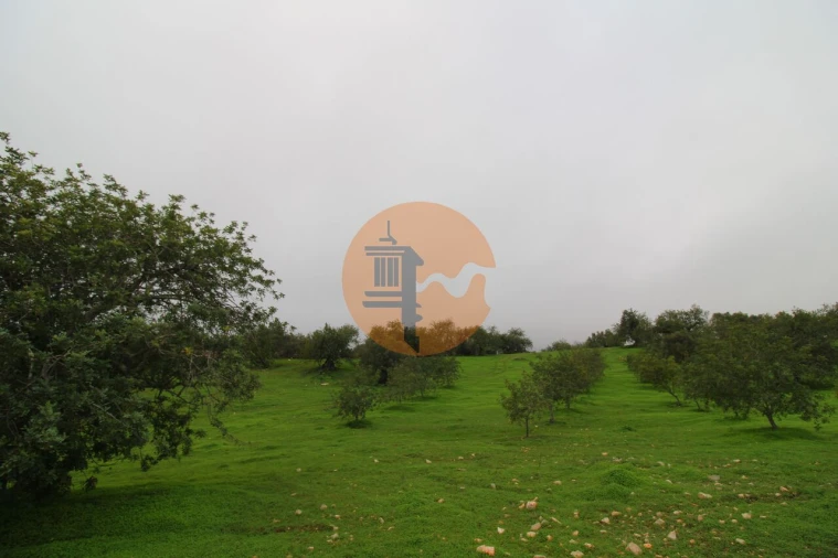 Terreno para Venda em Luz de Tavira e Santo Estêvão Foto 18